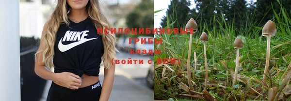 марки nbome Михайлов