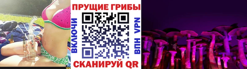 Псилоцибиновые грибы GOLDEN TEACHER  Купить закладки  Чулым 